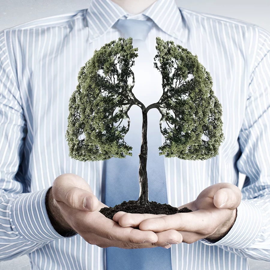 EIA – posuzování vlivů na životní prostředí v legislativě a praxi